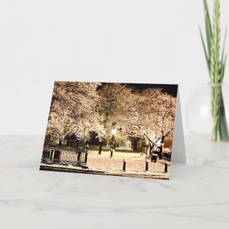 Cartão Snow Salem Common Massachusetts Photo