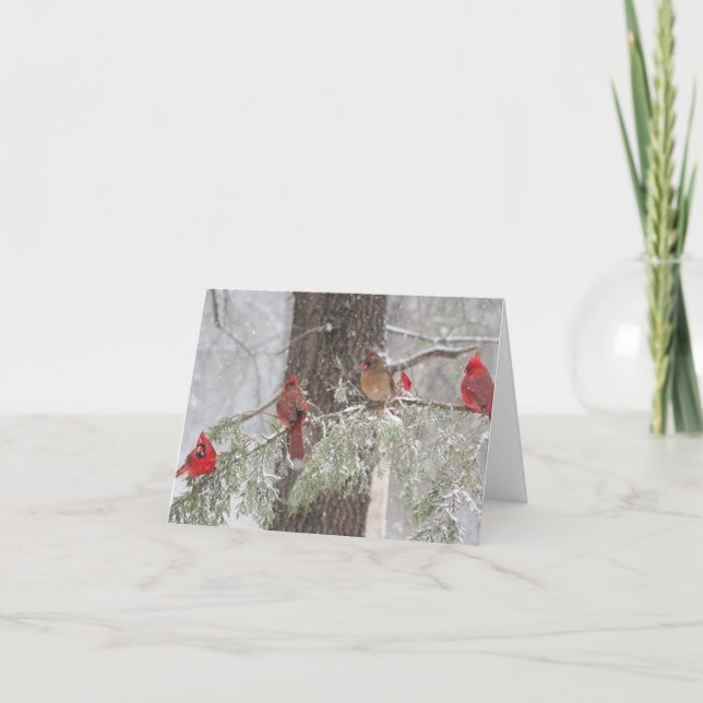 Cartão SnowBirds (Frente)