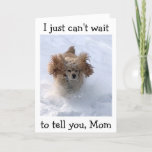 CARTÃO **SNOWBOUND COMEDIC DOG** PARA O ANIVERSÁRIO DE MÃ<br><div class="desc">O MEU COCKER ESPANIEL DE NEVE ESTÁ NUMA ENORME ESPÉCIE DE DIZER: "QUÃO FELIZ EU SOU SEU ANIVERSÁRIO,  MÃE! E,  QUANDO "TEMOS BOLO"?</div>