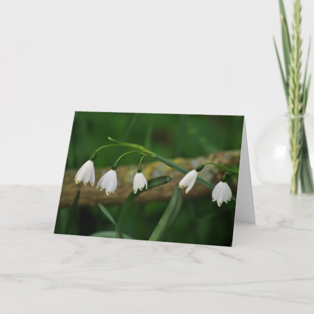 Cartão Snowdrops (Frente)