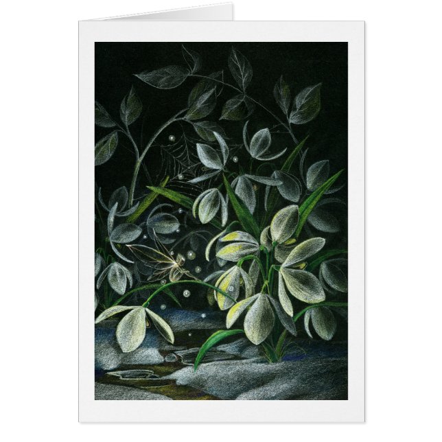 Cartão Snowdrops na noite (Frente)