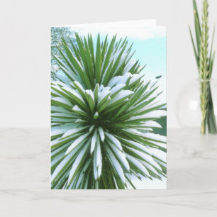 Cartão Snowy Cactus