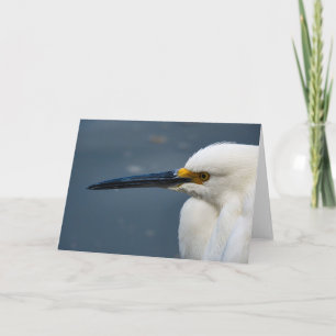 Cartão Snowy Egret Notecard