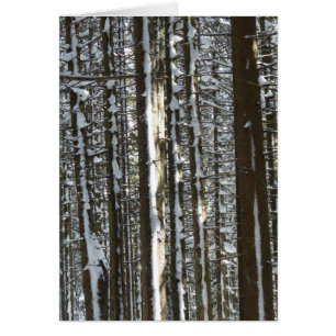 Cartão Snowy Fir Tree