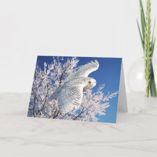 Cartão "Snowy Owl" Greeting Card