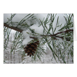 Cartão Snowy Pine Branch Winter Nature Fotografia