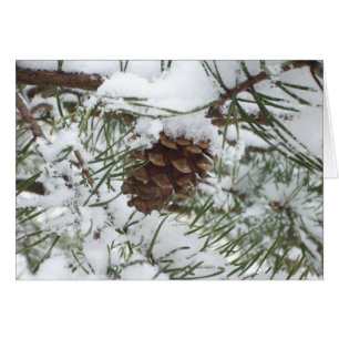 Cartão Snowy Pine Cone I Winter Nature Photoshop