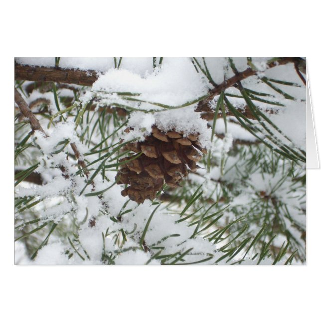Cartão Snowy Pine Cone I Winter Nature Photoshop (Frente horizontal)