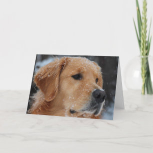 Cartão Snowy Wyatt card