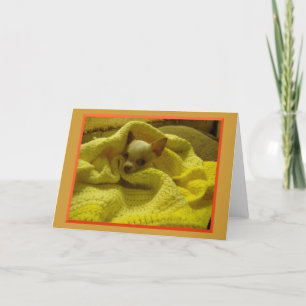 Cartão Snuggled Chihuahua Greeting Card
