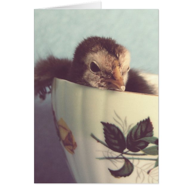 Cartão Só estou a chillin (Frente)