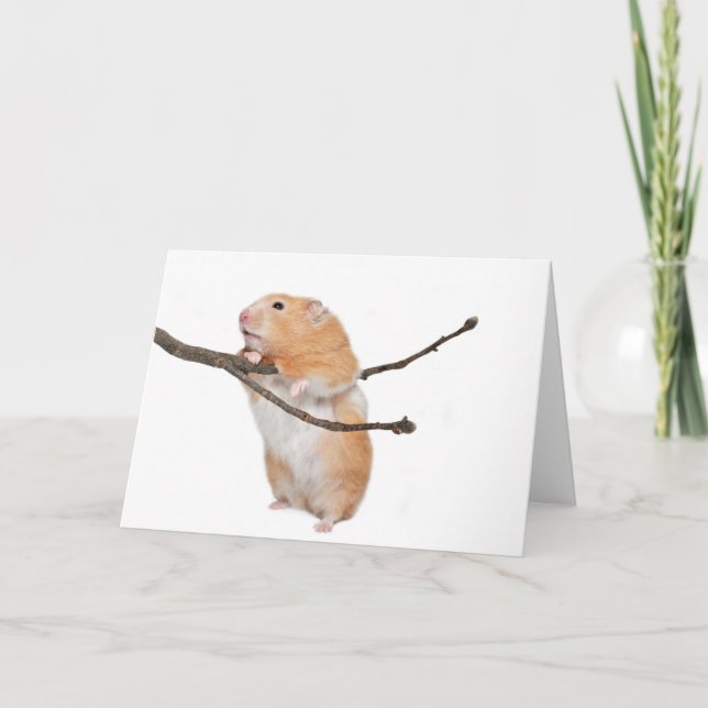 Cartão só por aí (Frente)