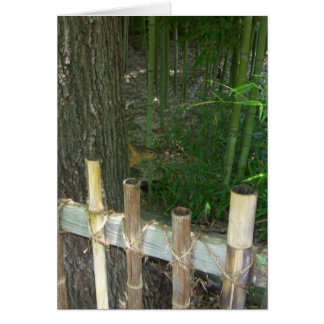 Cartão só por diversão, esquilo esgueirado é pego