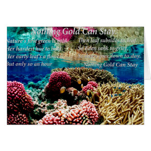 Cartão Sob a água, coral-marinho e dois peixes-palhaço