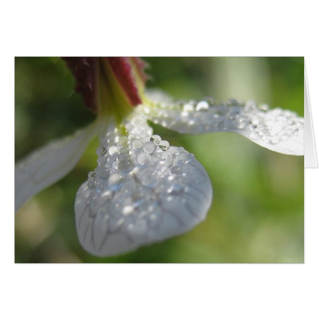 Cartão Sob a minha placa guarda-chuva (Frente Horizontal)