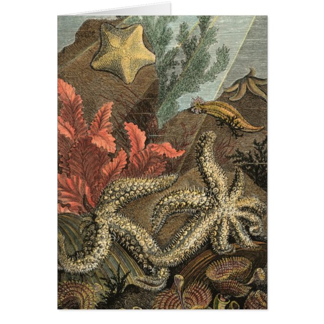 Cartão Sob o mar (Frente)