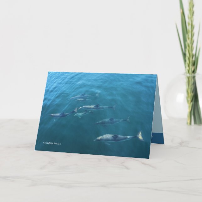 Cartão Sob o mar (Frente)