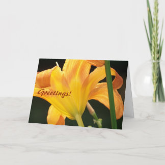 Cartão Sob o Sol, Saudações!