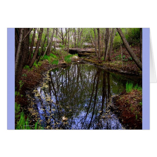 Cartão Sob placa de vidro (Frente Horizontal)