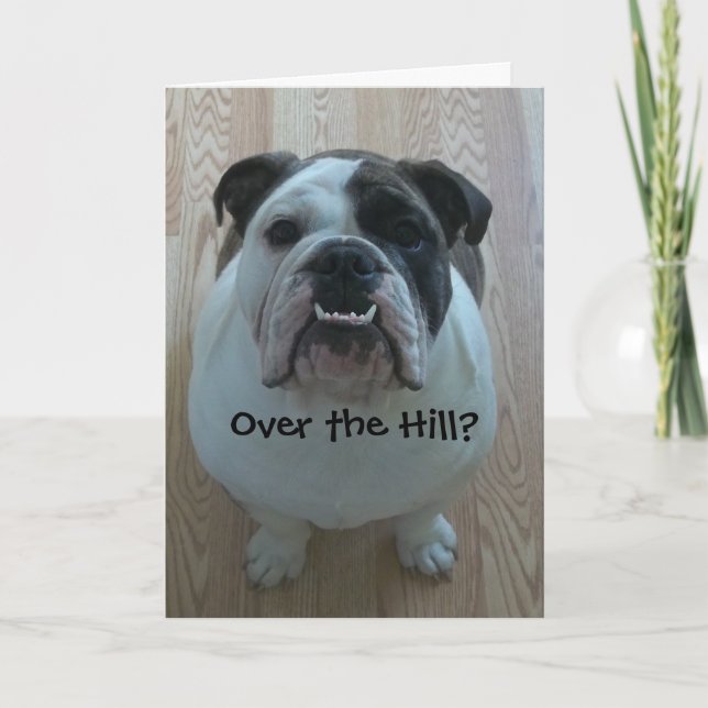 Cartão Sobre o Hill English Bulldog Birthday Card (Frente)