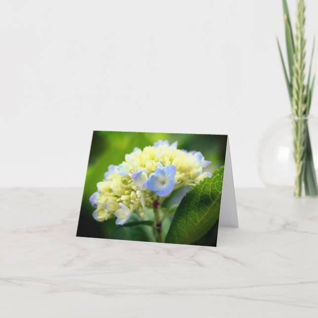 Cartão Soft Blue Hydrangea Flower Photography Note (Frente)