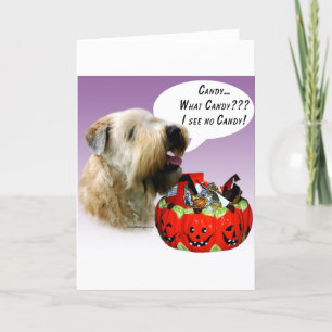 Cartão Soft Coated Wheaten Terrier Halloween Candy