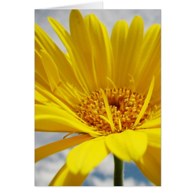 Cartão Sol (Frente)