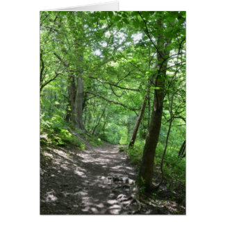 Cartão Sol Através Das Árvores