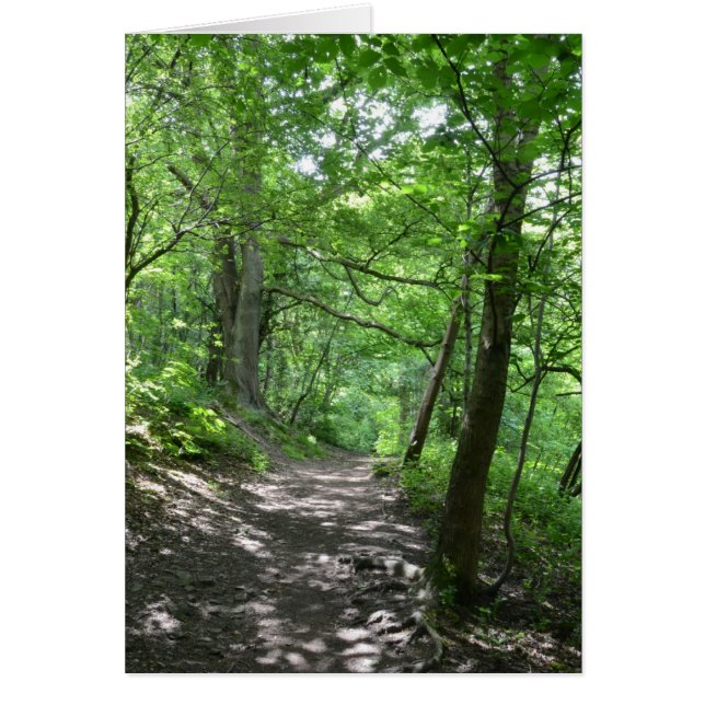 Cartão Sol Através Das Árvores (Frente)