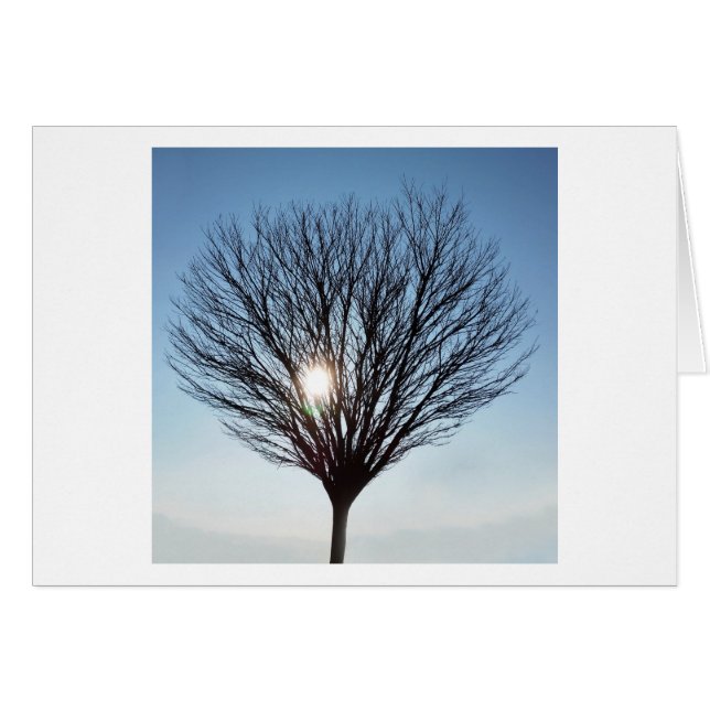 Cartão Sol de inverno (Frente Horizontal)