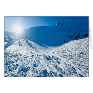 Cartão Sol de inverno