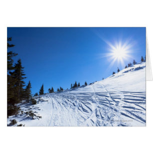 Cartão Sol de inverno 4