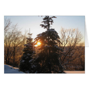 Cartão Sol de inverno com Evergreens