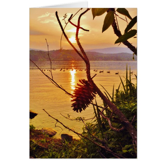 Cartão Sol do Lago Pinecone (Frente)
