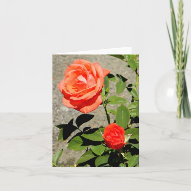 Cartão Sol Laranja.... (Frente)