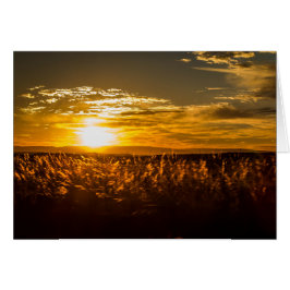 Cartão Sol na África do Sul