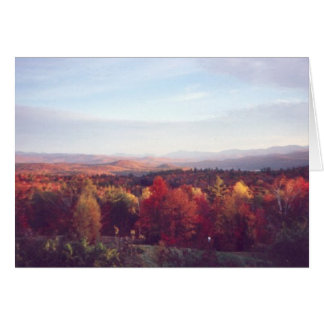 Cartão "Sol pega as árvores"