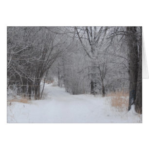 Cartão Solidão do inverno