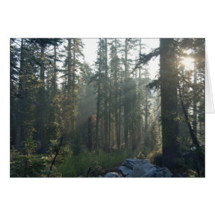 Cartão Solidão Sunlit