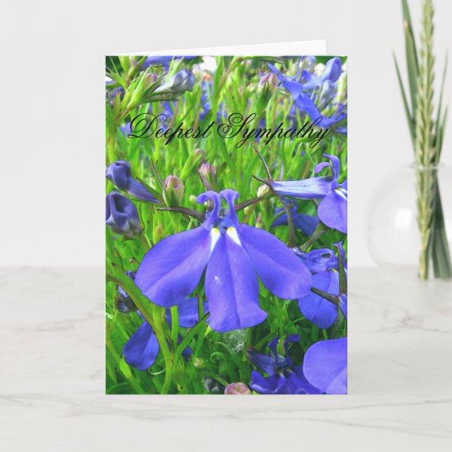 Cartão Solidariedade  (Frente)