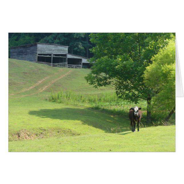 Cartão Solitário Calf (Frente horizontal)