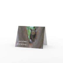 Solitário esquilo na árvore, sinto sua falta