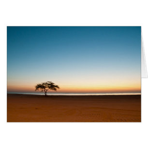 Cartão Solitário no nascer do sol do Kuwait