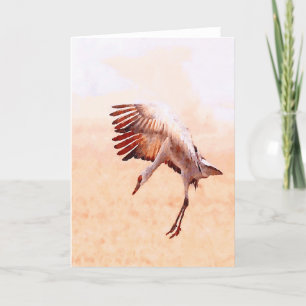 Cartão Solo Sandhill Crane Cards