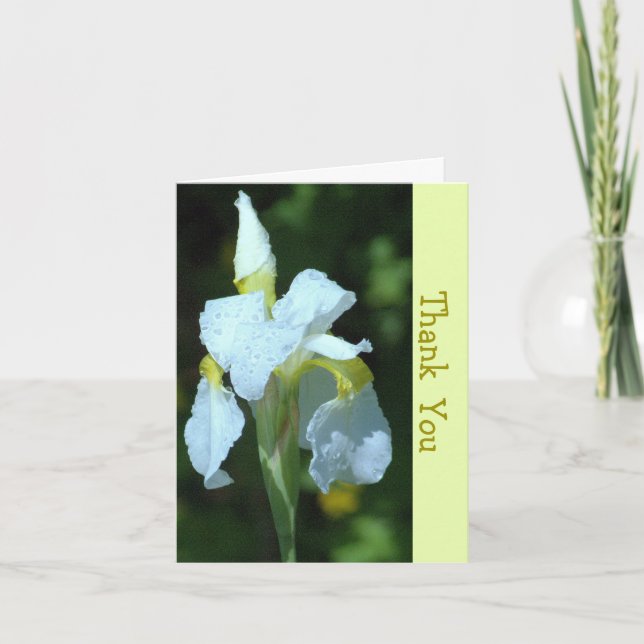 CARTÃO SOLTEIRO BRANCO IRIS COM RAINDROPS (Frente)