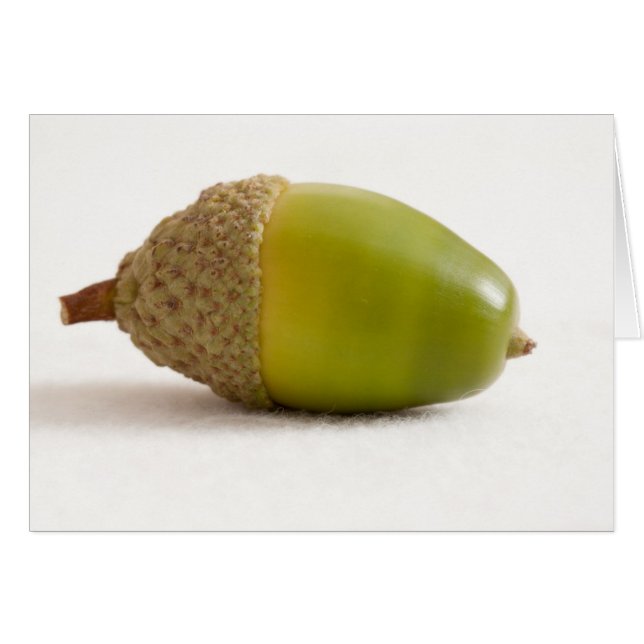 Cartão Solteiro de acordo com o topo (Frente Horizontal)