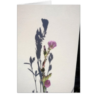 Cartão Sombra 2014 do Wildflower