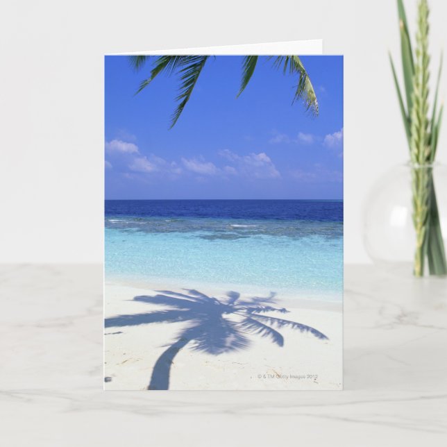 Cartão Sombra da Árvore Palm (Frente)