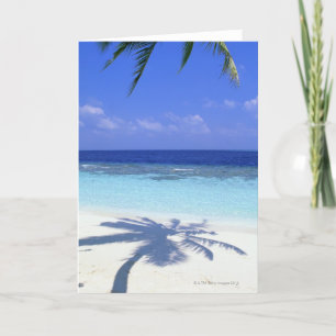 Cartão Sombra da Árvore Palm