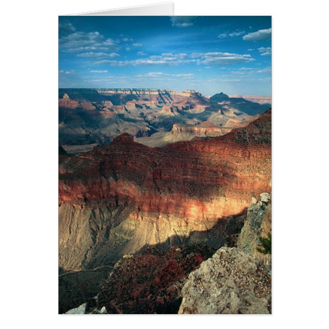 Cartão Sombras à tarde (Frente)